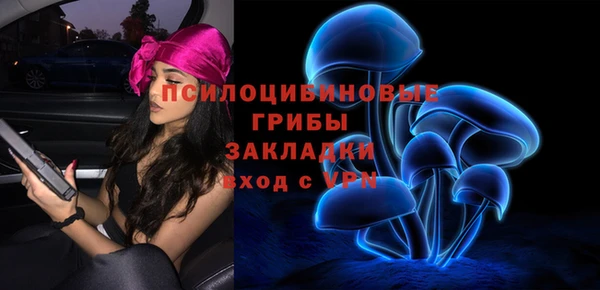 ПСИЛОЦИБИНОВЫЕ ГРИБЫ Баксан