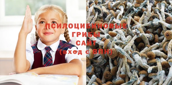 ПСИЛОЦИБИНОВЫЕ ГРИБЫ Баксан