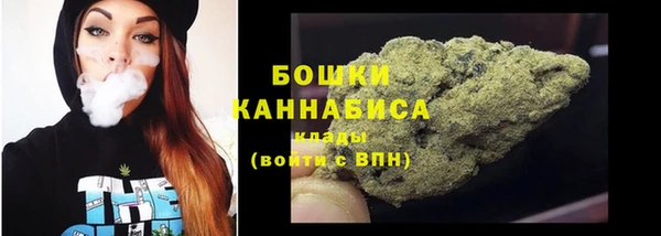 ПСИЛОЦИБИНОВЫЕ ГРИБЫ Баксан