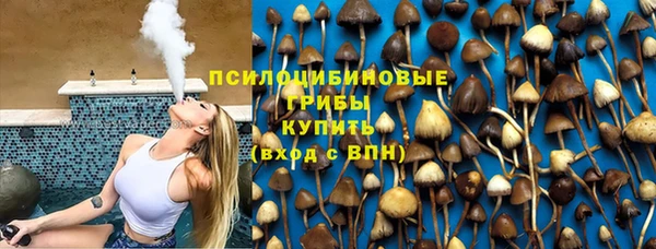 стафф Балахна