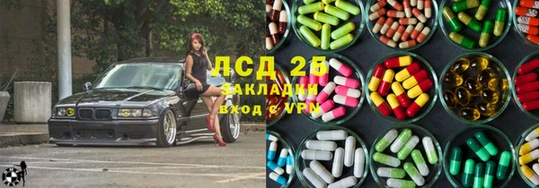 ПСИЛОЦИБИНОВЫЕ ГРИБЫ Баксан