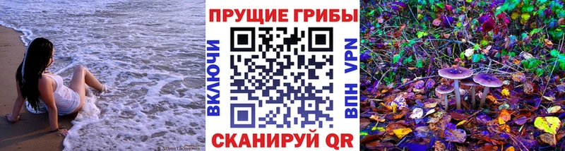 Псилоцибиновые грибы Magic Shrooms кракен как войти Новоульяновск
