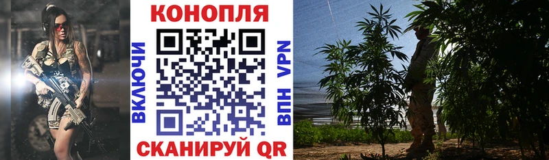 дарнет шоп  Новоульяновск  Конопля гибрид 